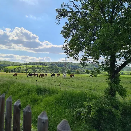 Apartament Hoegel Grossjena