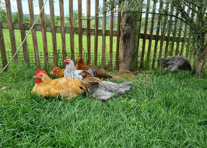 Hoegel Grossjena Lägenhet *