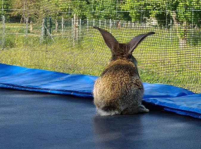 Lägenhet Hoegel Grossjena