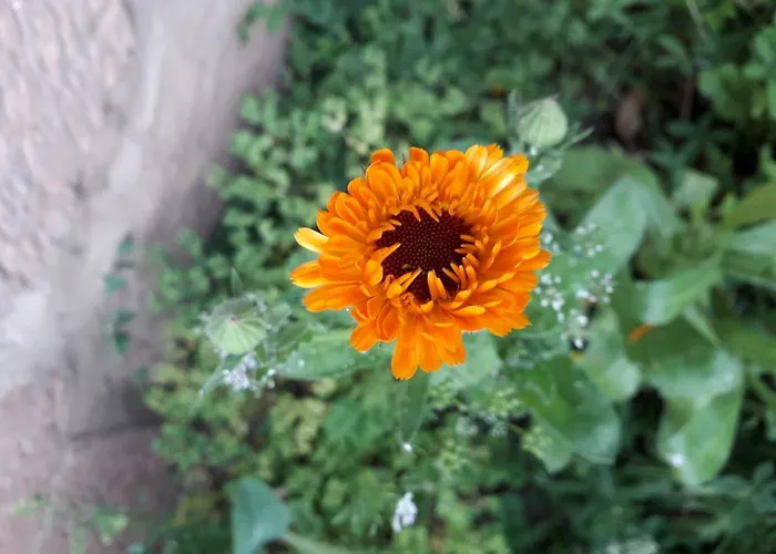 Hoegel Grossjena Naumburg (Saale)